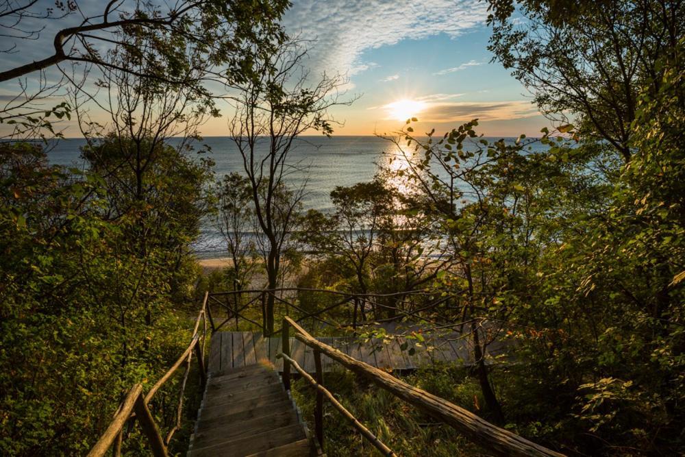 Vita Rama Holistic Hotel And Retreats - Vegan Full Board Obzor Eksteriør billede